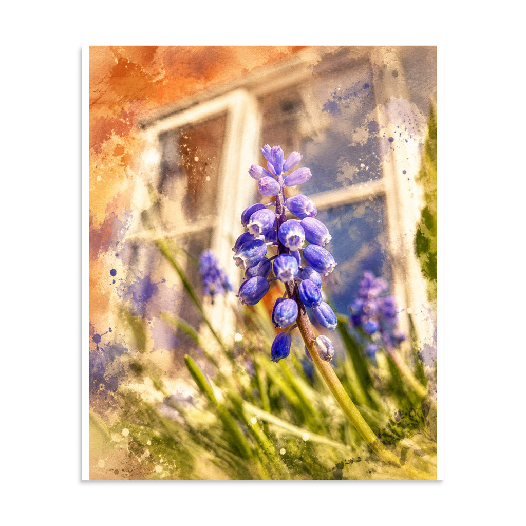 Poster - Purple Flower Window Scene featuring a close-up of vibrant purple flowers with a softly blurred window and warm sunlight in the background.